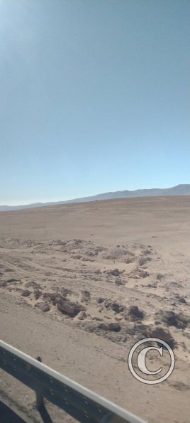 The Atacama desert between Antofagasta and Taltal (8)