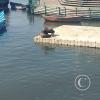 Port of Iquique (8)