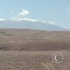 Atacama desert between Calama and San Pedro (10)