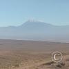 Atacama desert between Calama and San Pedro (3)