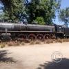 Locomotive 846, in service from 1953 until 1978