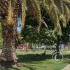 Plaza Brasil at Compania de Jesus y Maturana