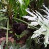 IMG-20201129-WA0014