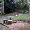IMG-20201129-WA0028