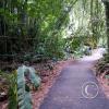 IMG-20201129-WA0035