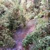 IMG-20201129-WA0041