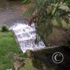 IMG-20201129-WA0024