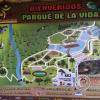 IMG_20201129_135422_971