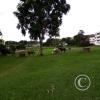 IMG_20201212_132745