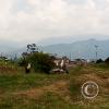 IMG_20201212_134347