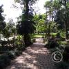 IMG_20201221_140148
