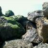 IMG-20140302-WA0050