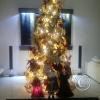 Exif_JPEG_420