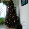Exif_JPEG_420