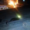 IMG_20180613_214020