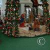 IMG_20181214_161736