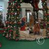 IMG_20181214_161740