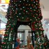 IMG_20190109_192238