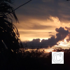 LateSunset
