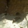 IMG00237