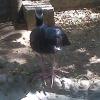 img00248_21700427743_o