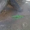 img00262_22321564755_o