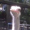 img00285_22133662630_o