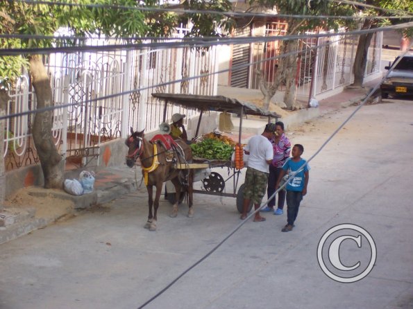 fruit-vendor-1-medium_19208463750_o
