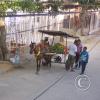 fruit-vendor-1_19369802026_o