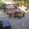 fruit-vendor-2-large_18775942503_o