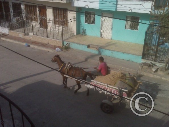 horse-drawn-wagon-in-front-of-my-apartment-medium_18775475093_o