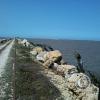 img-20140302-wa0125_19406749405_o