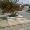 img-20150505-00005_17586215574_o
