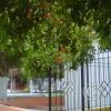 img-20150511-00002_18716714001_o