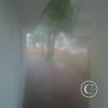 img-20150608-00019_18091673884_o