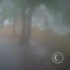 img-20150608-00020_18528117279_o