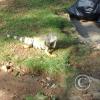 20151020_154341 - Copy
