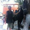 IMG_0011 - Copy