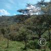 Exif_JPEG_420