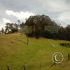 Exif_JPEG_420