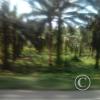 Exif_JPEG_420