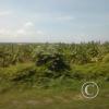 Exif_JPEG_420