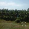 Exif_JPEG_420