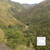 IMG_20211030_082539