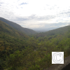IMG_20211030_082555
