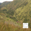 IMG_20211030_083338