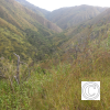 IMG_20211030_083759