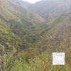 IMG_20211030_083816