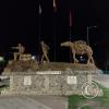 IMG_20221030_200317322_HDR