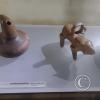 IMG_20240302_134434644